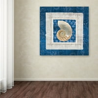 Трговска марка ликовна уметност морска школка II на сина платно уметност од Белинда Олдрих
