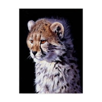 Трговска марка ликовна уметност „Cheetah Cub“ платно уметност од Пип Мекгари