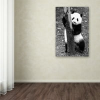 Трговска марка уметност панда Сценична и пејзажи сликарство