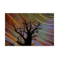 Трговска марка ликовна уметност „Темно дрво под светло“ платно уметност од Линколн Харисон